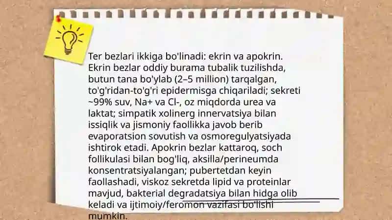 Ter fiziologiyasi 4