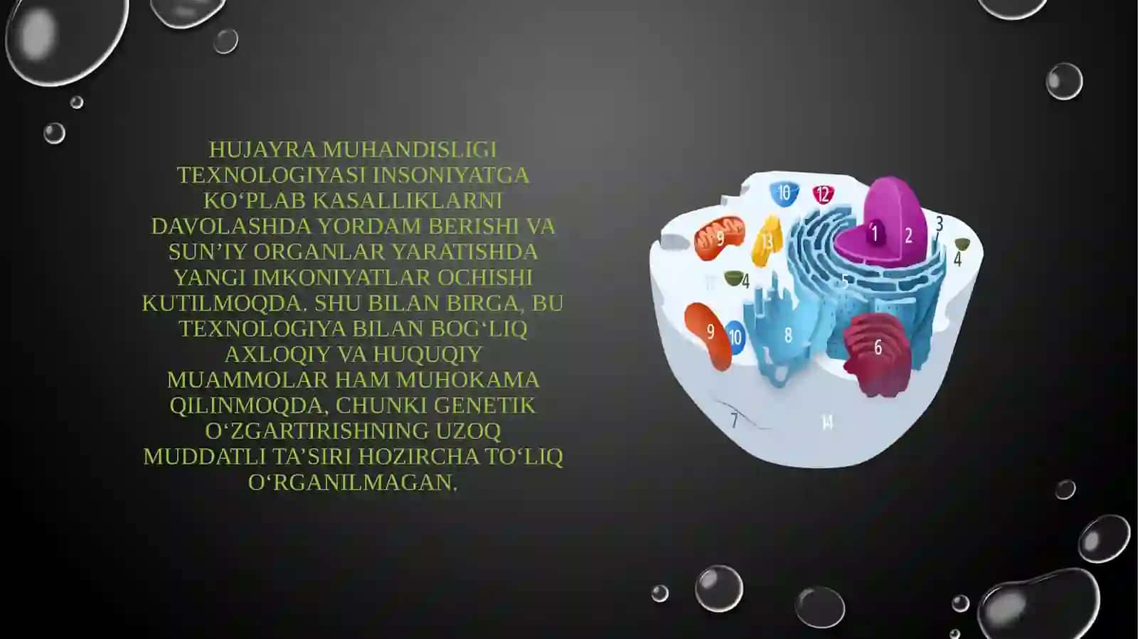 Hujayra muhandisligidagi texnologik jarayonlar 4