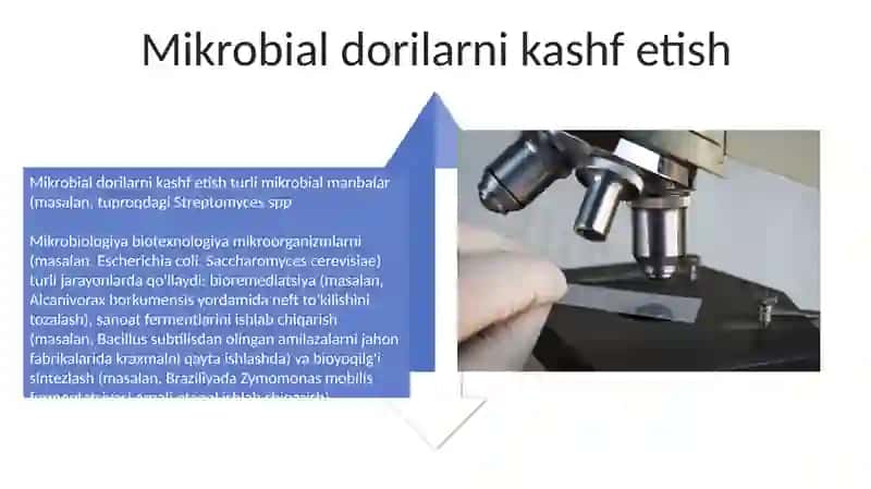 Mikroorganizmlar biotexnologiyasi 4
