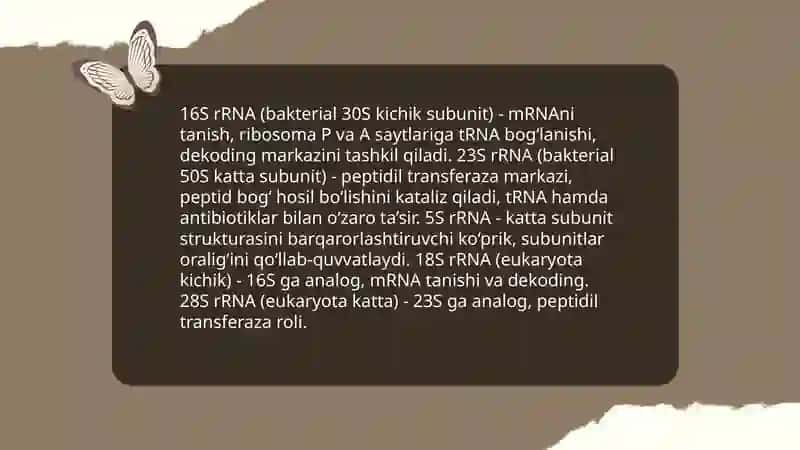 Ribosomalarning tuzulishi 4
