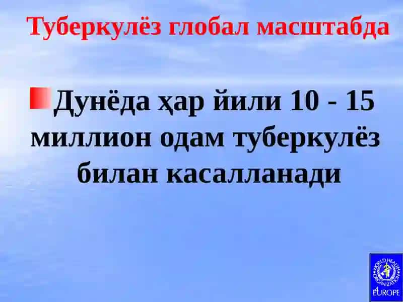 Туберкулёз эпидемиологияси, патогенези ва иммунитет феноменлари 4