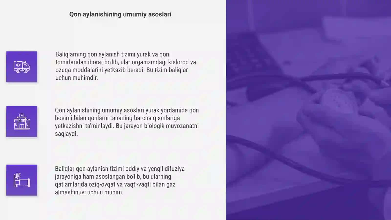 Baliqlarning qon aylanish tizimi 4