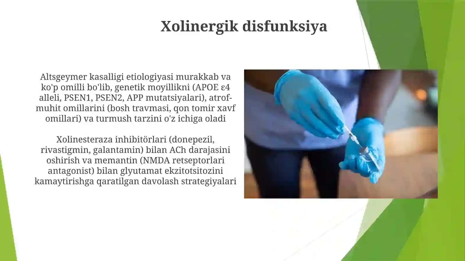 Alzheimer kasalligi etiologiyasi 4