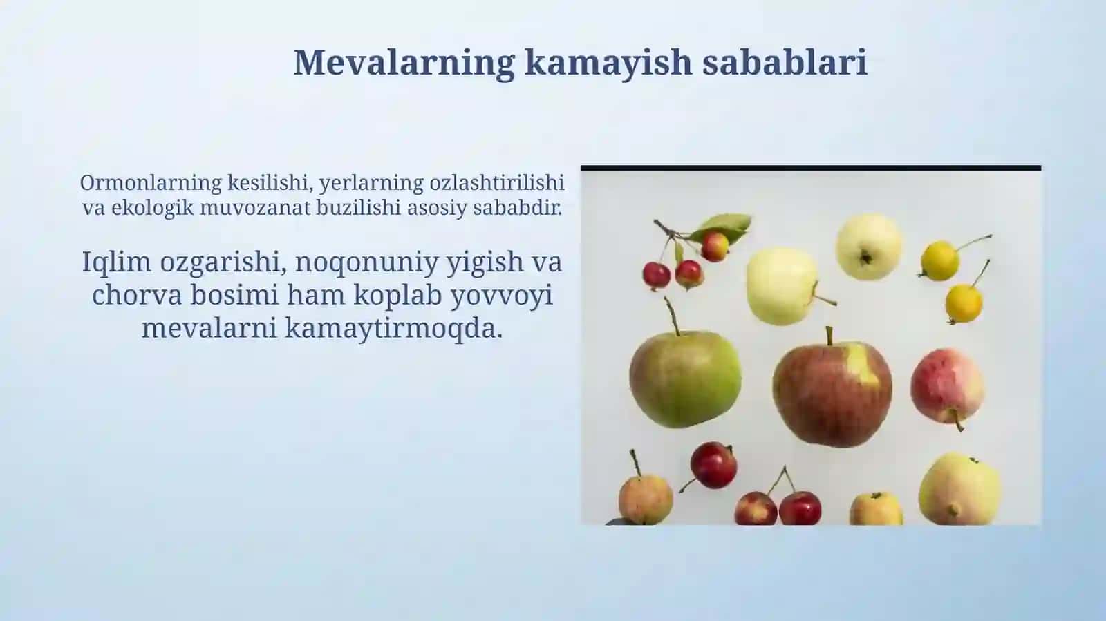 Qizilkitobgakiritilganmevalar 4