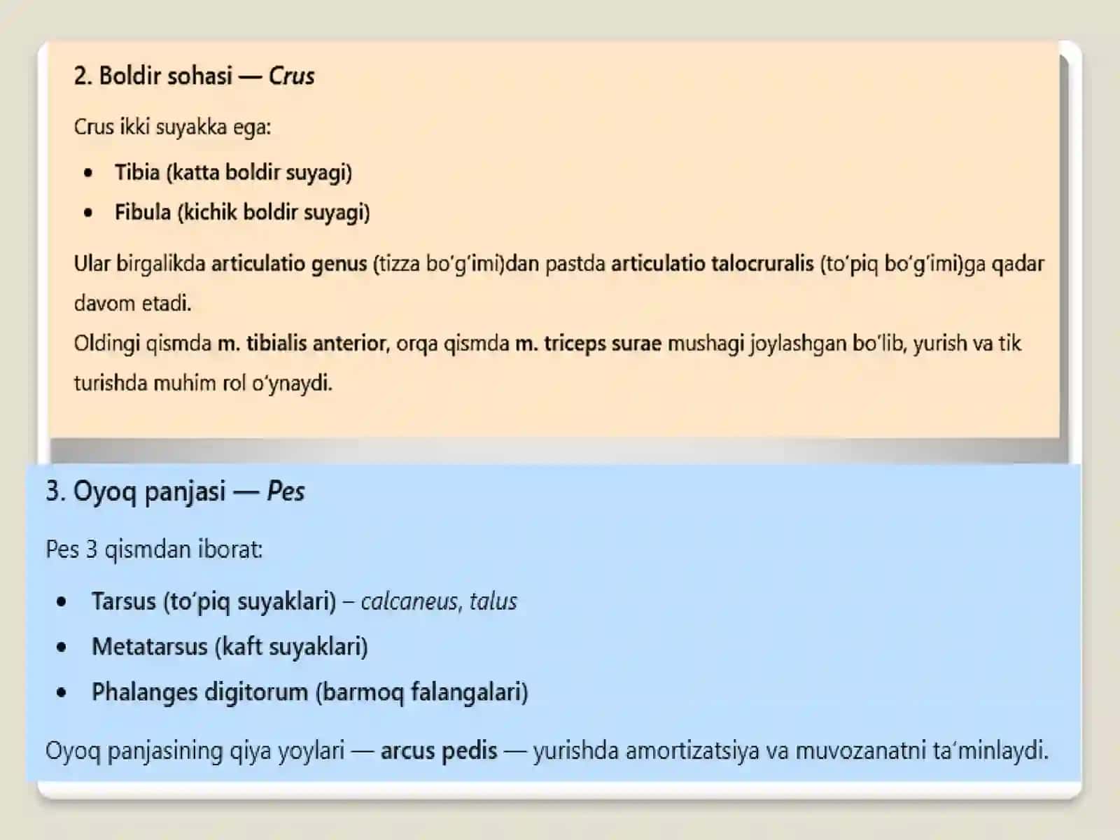 Bajardi: NORBOYEVaRuxshona 4