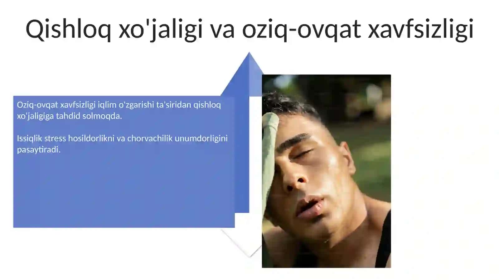 Yovoyyi havonlar 4