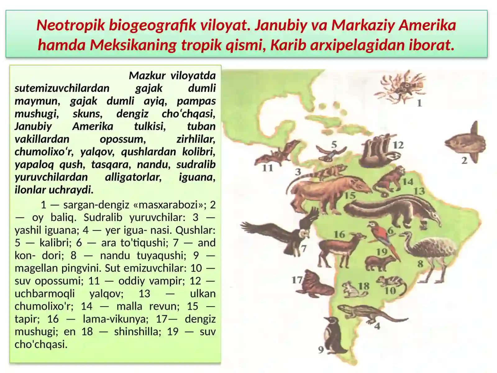 EVOLUTSIYANI ISBOTLASHDABIOGEOGRAFIYA FANI DALILLARI 4
