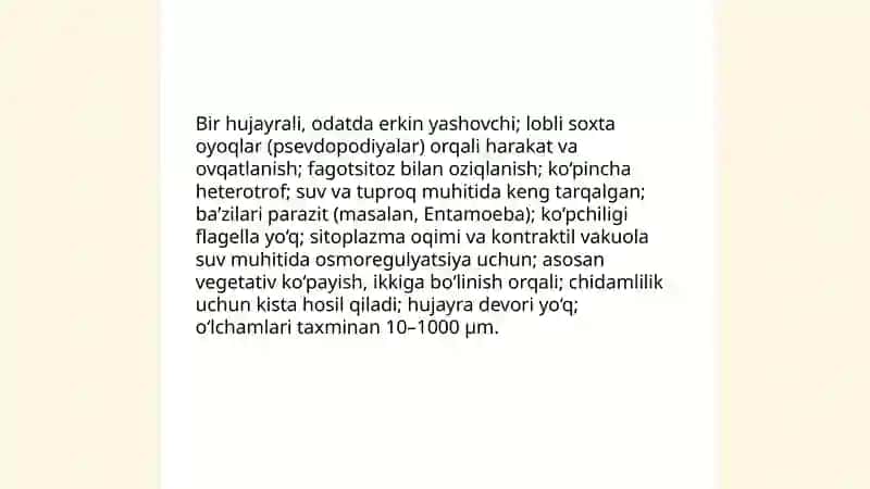 Bir hujayrali sodda hayvonlar tipi 4