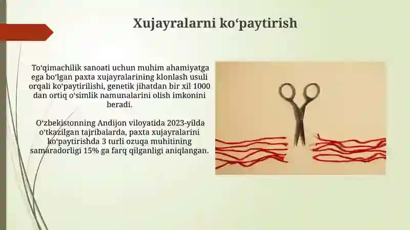 Klonlash texnologiyalari 4