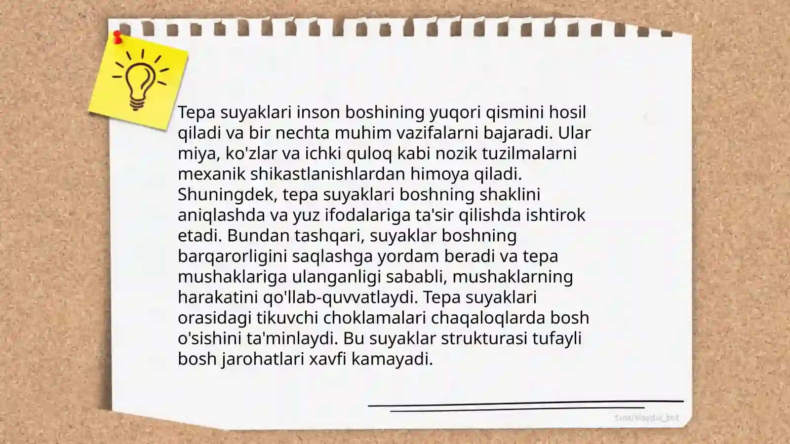 Tepa suyaklari 4