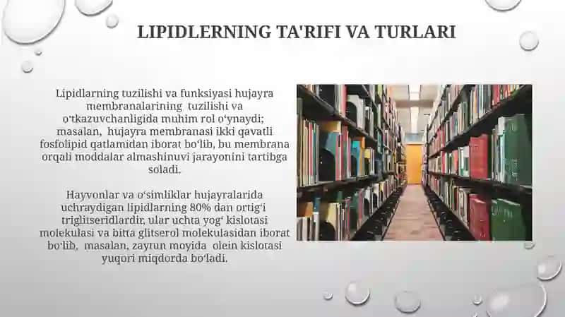 Lipidlar 4