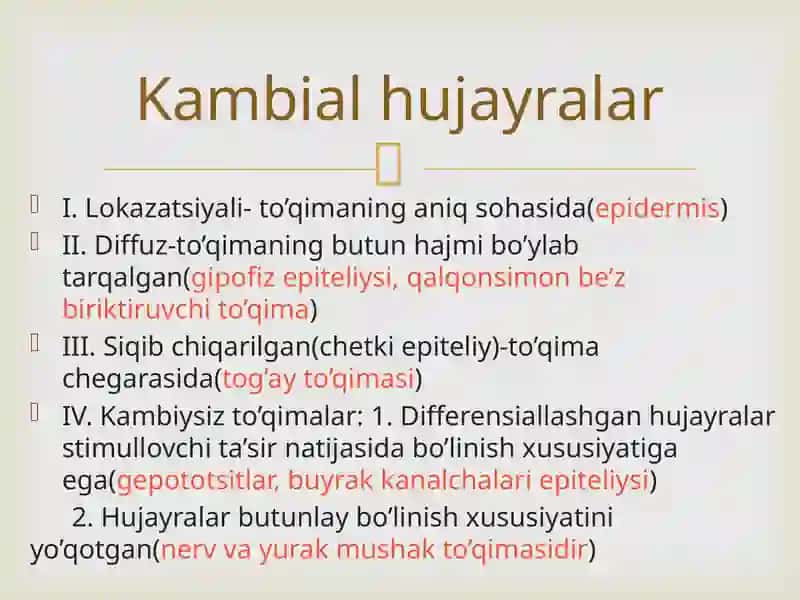 To’qimalar.Epiteliyto’qimasi.Yadro 4