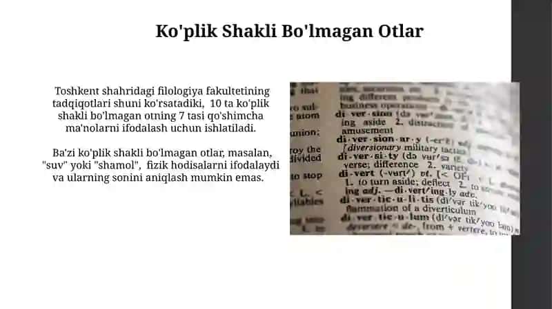 O'zbek tilida otlarning ko'plik shakli 4