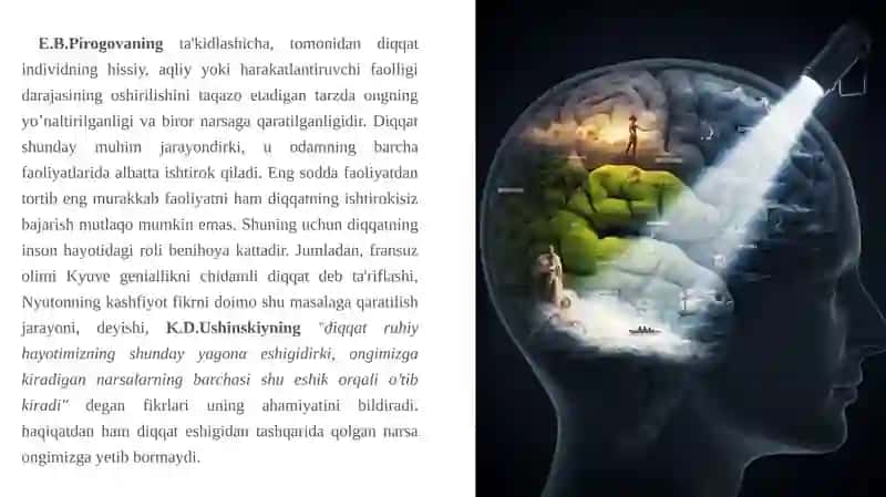 Diqqat haqida tushuncha 4