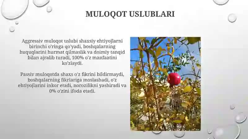 Muloqotning ahamiyati va uslublari 4