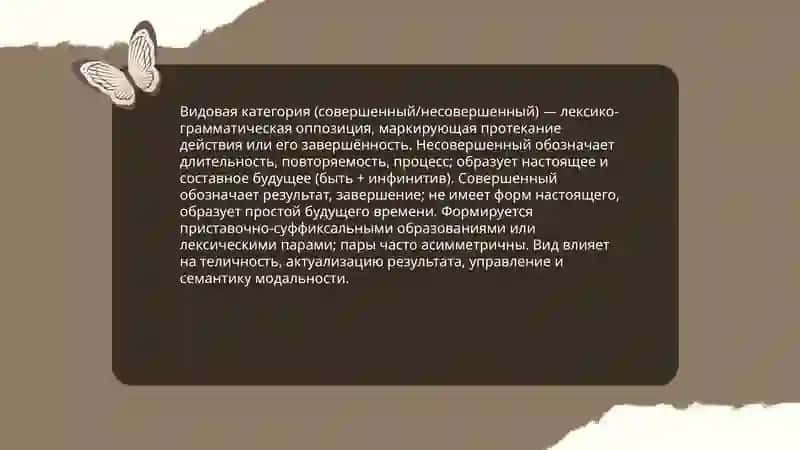 Лексико-грамматические разряды глагола и особенности их функционирования в современном русском языке 4