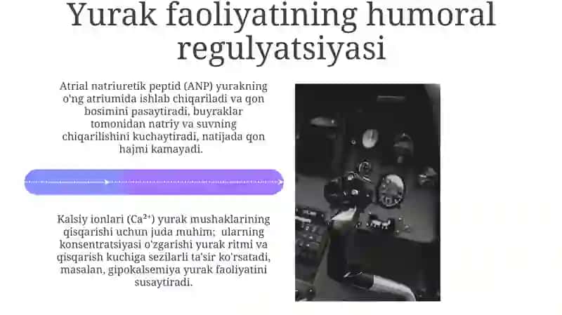Yurak faoliyatini boshqarilishi nerv va gumoral boshqarilishi 4