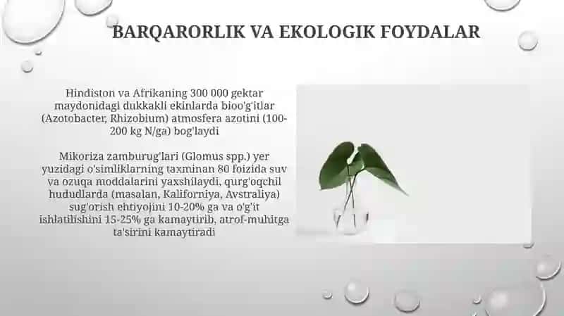 Biopestisidlar va Mikrobiologik nazorat 4