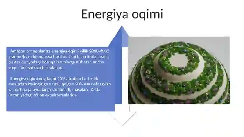 Ekotizimlar ekologiyasi 4