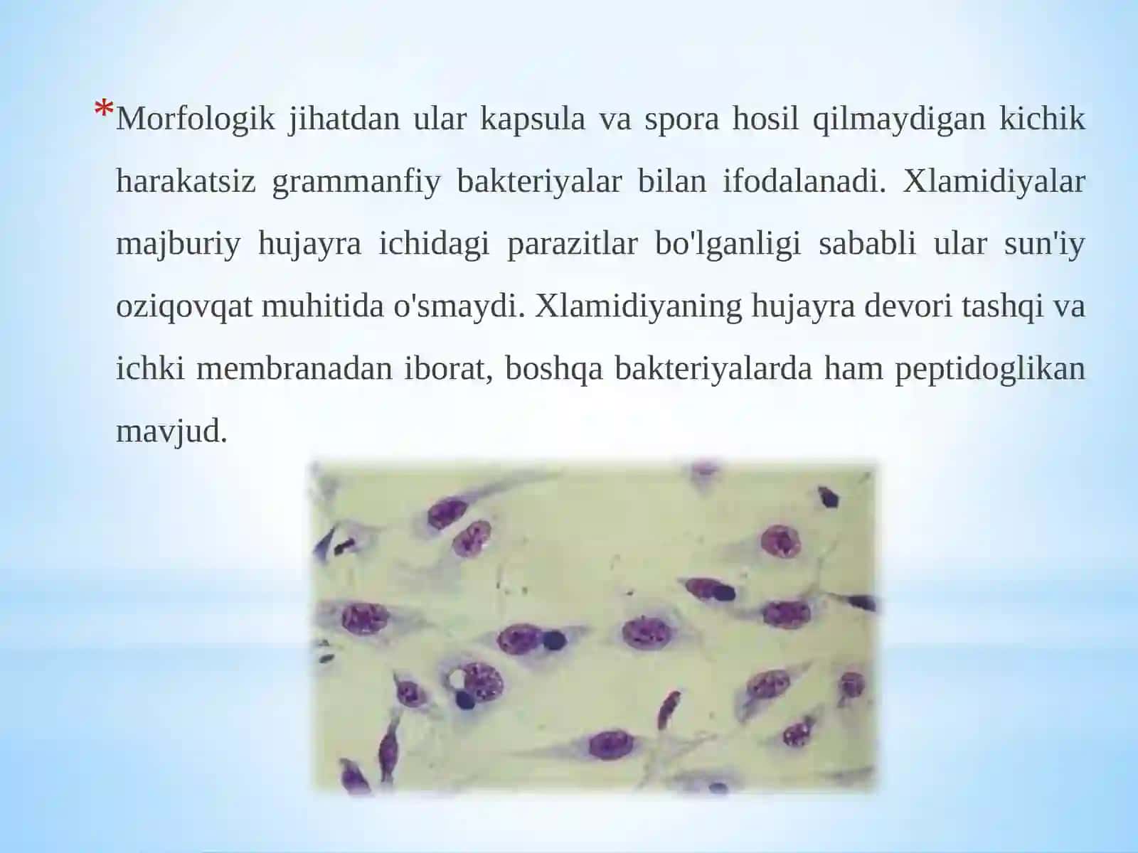 Xlamidiyalar 4