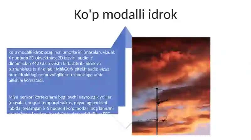 Xotira va idrok 4