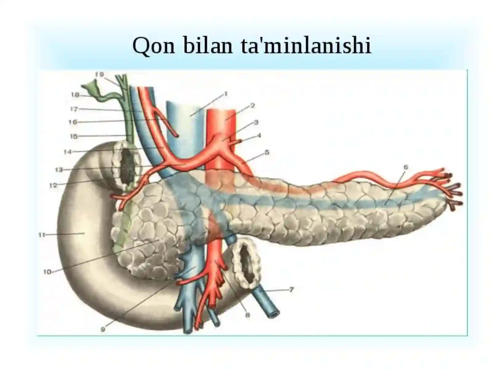Pankreatitlarni xirurgik davolash usullari2 4