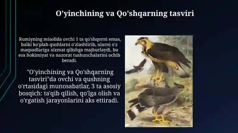 Jaloliddin Rumiy Ovchi va lochin asari 4