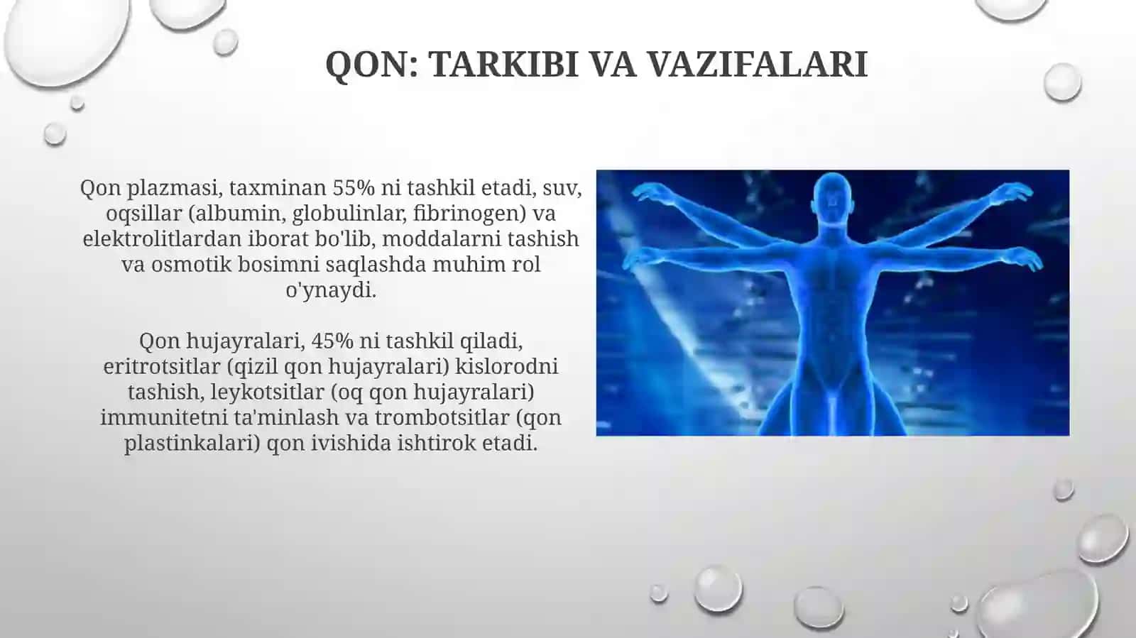 Qon aylanish tizimining fizalogikasoslari 4