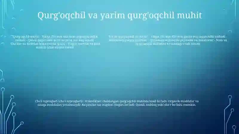 ChoʻL Tuproqlari 4