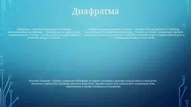 Речевой Аппарат 4