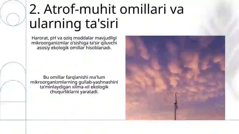Mikroorganizmlarga tashqi muhit omillari ta'siri 4