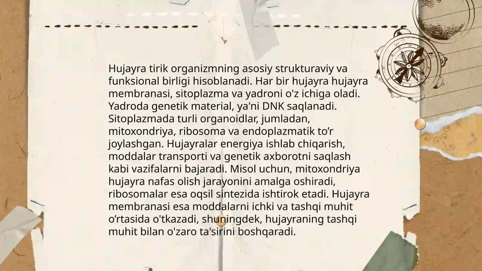 Hujayra potologiyasi va uning kelib chiqish sabablari 4