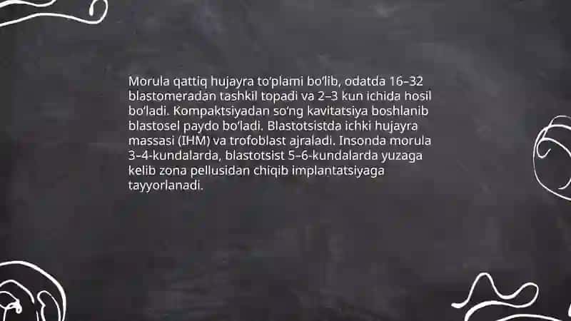 Embrional rivojlanish 4