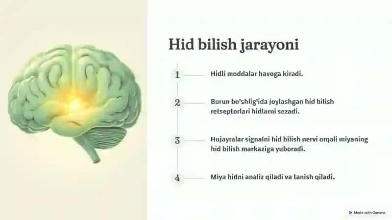 Hid bilish 4
