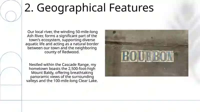 Articles 4