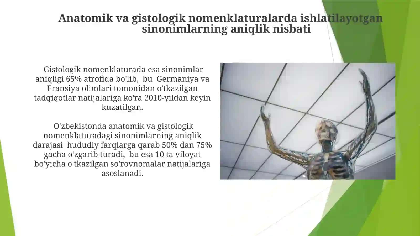 Anatomik va gistologik sinonimlar 4