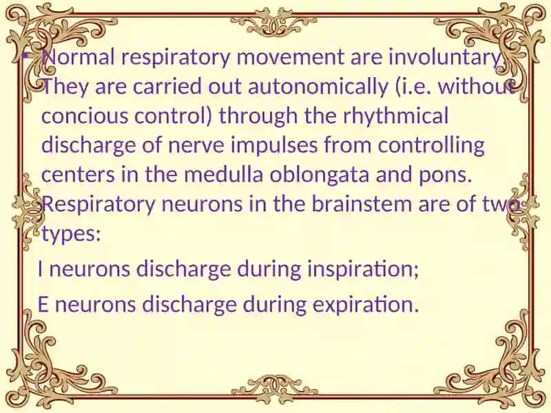 Regulation of breathing 4