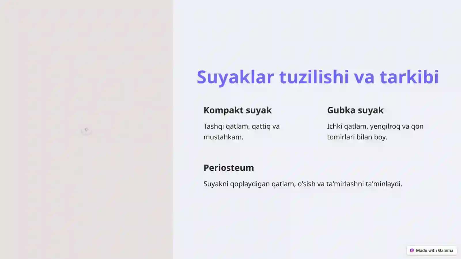 Suyaklar guruhi 4