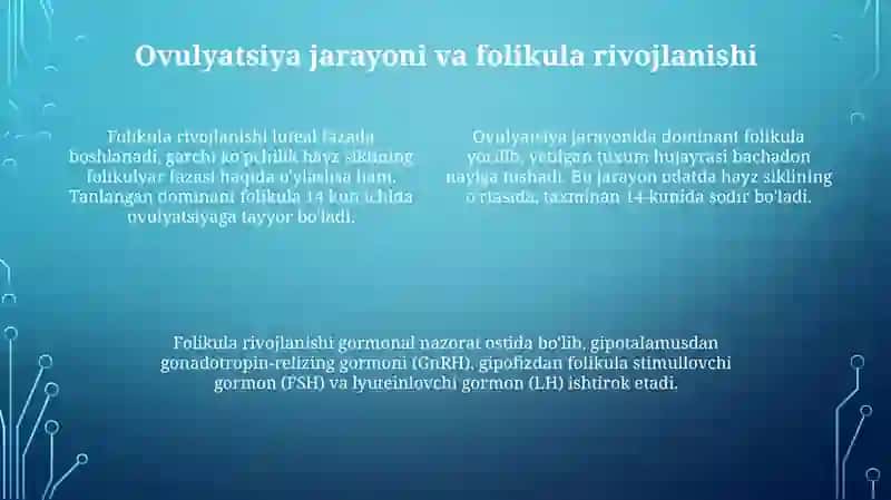 Menstural sikl va ovulyatsiya jarayonlari 4