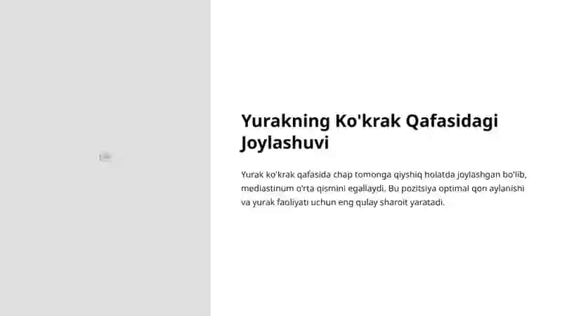 Yurakning Normal Pozitsiyasi va Variantlari 4