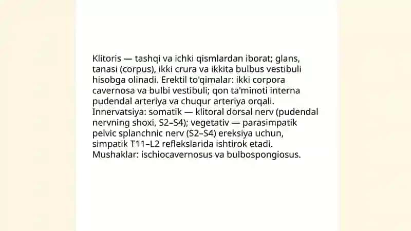 Ayollar jinsiy tizim a'zolari anatomiyasi 4