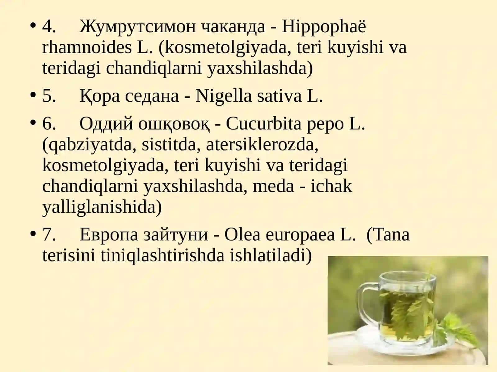 Ўзимлик мойлари 4