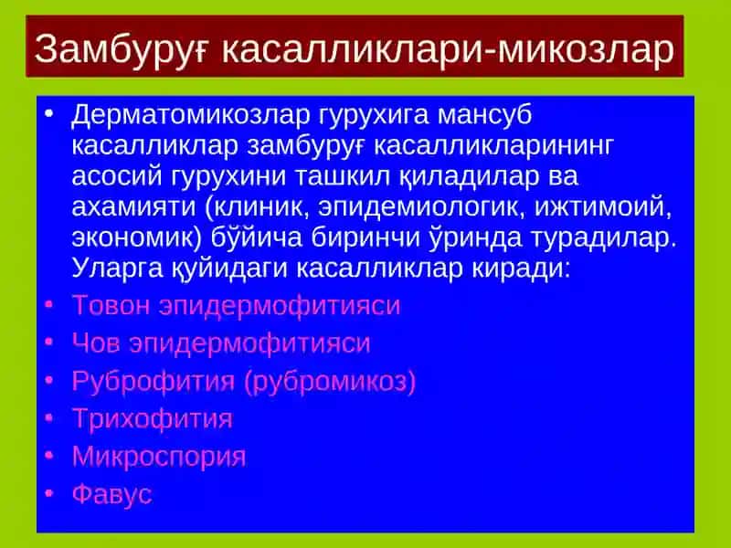 Замбуруғ касалликлари-микозлар 4