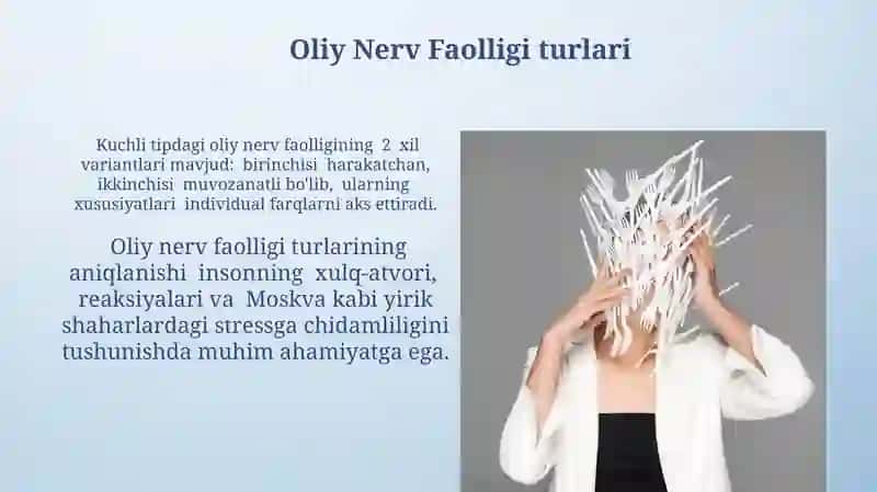 Oliy nerv faoliyatining tiplari 4
