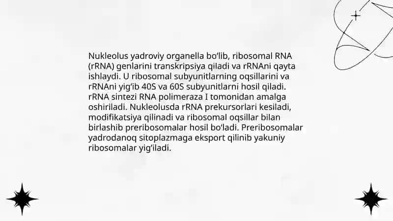 Hujayraning organellalari 4