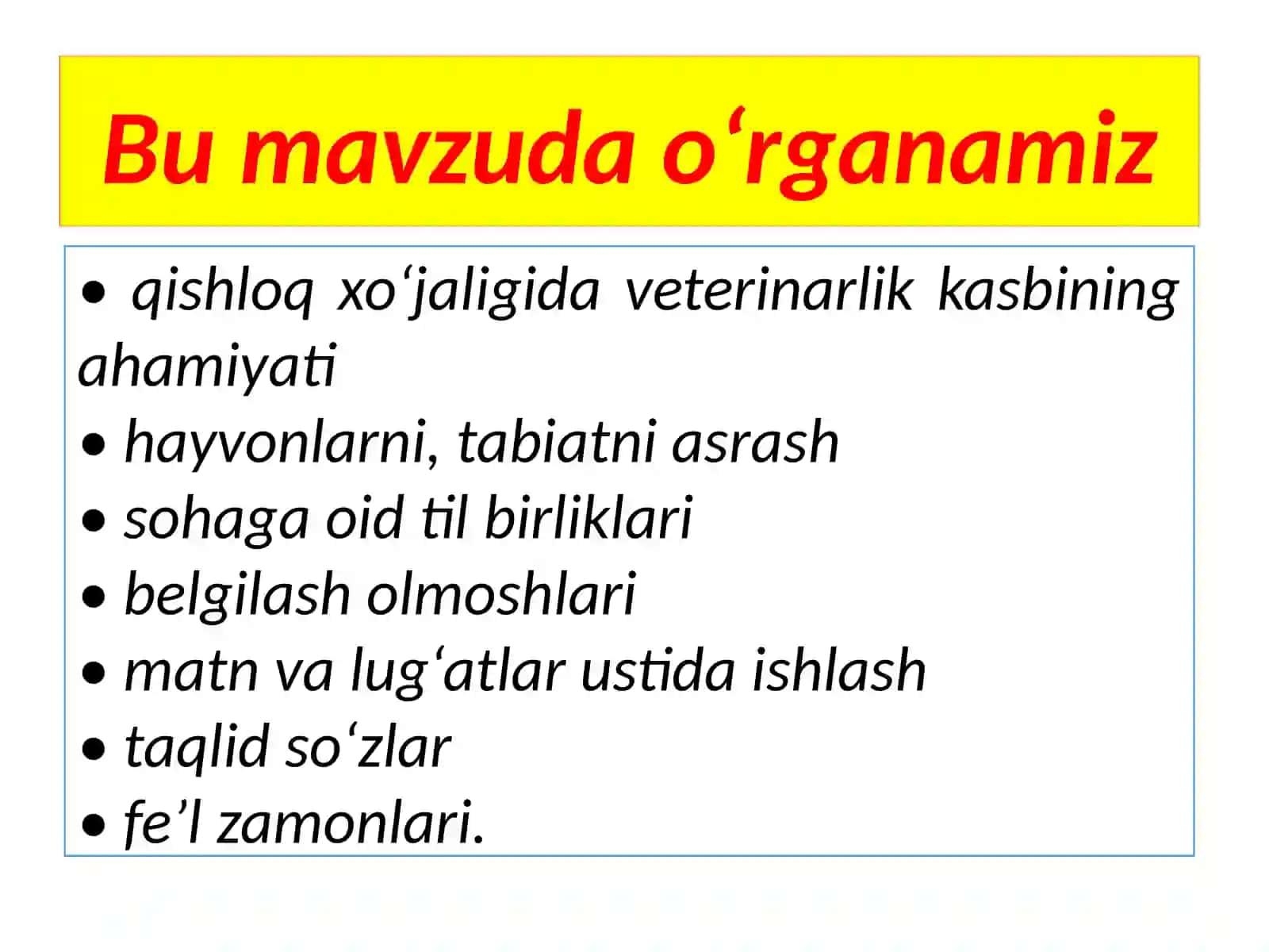 Veterinar.Tasviriymatn 4
