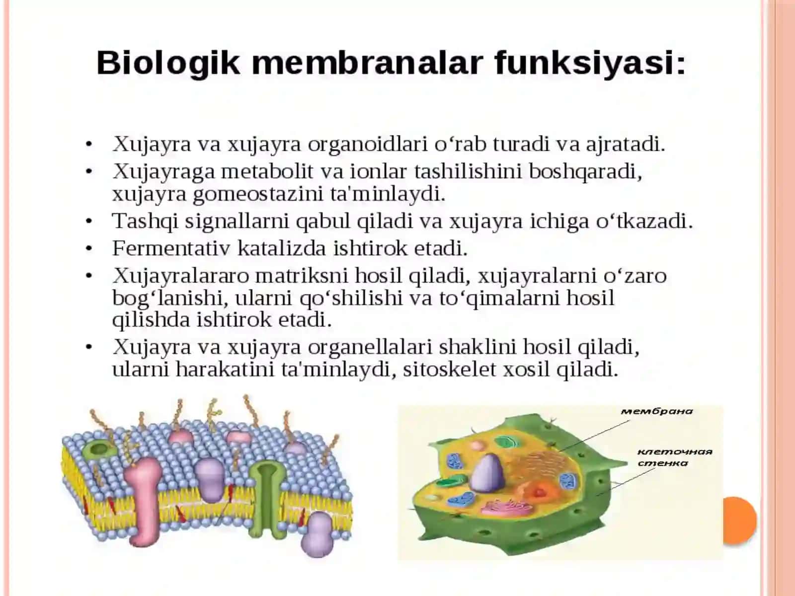 MEMBRANALAR BIOFIZIKASI 4