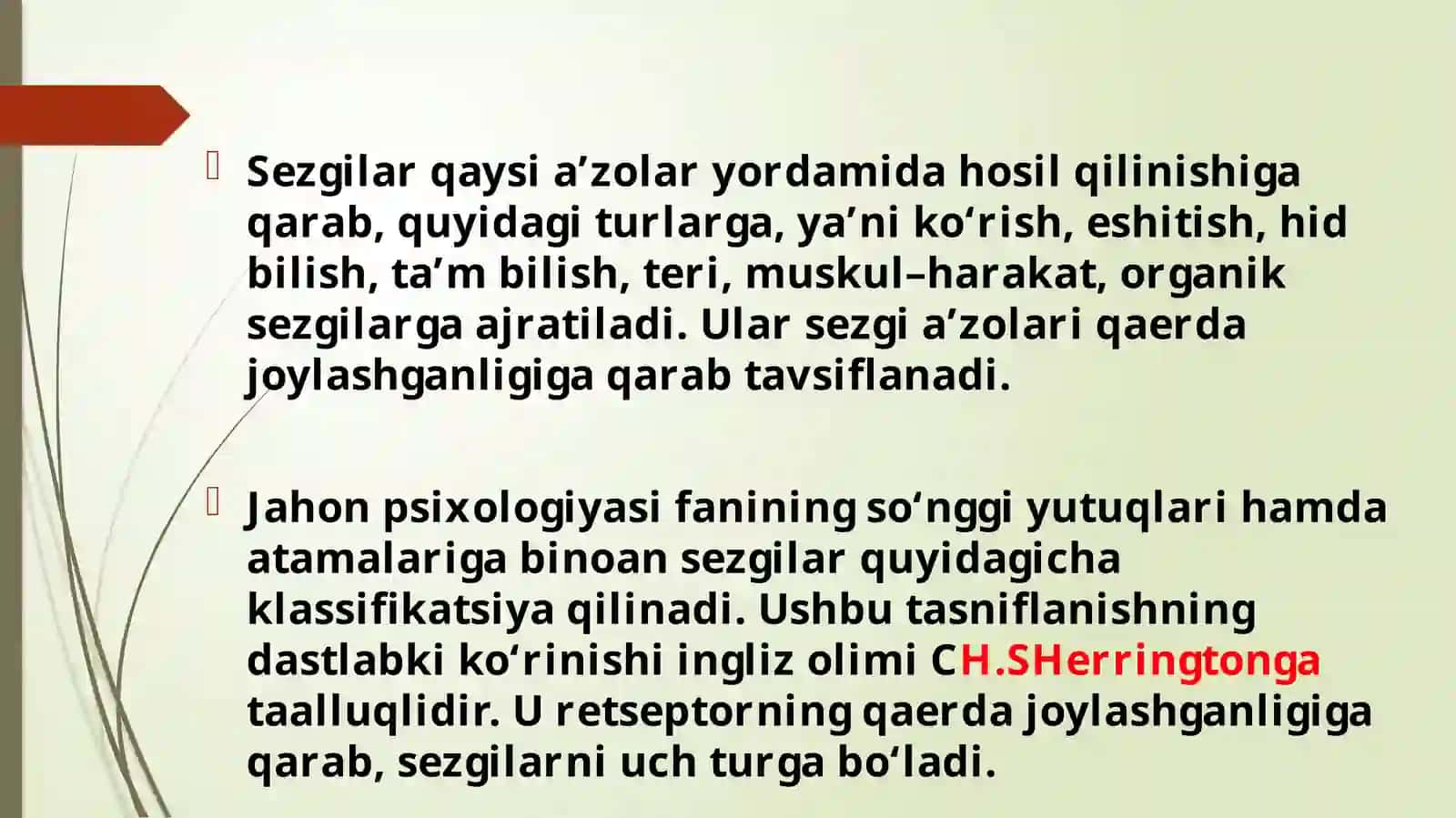 Sezgi organlari 4