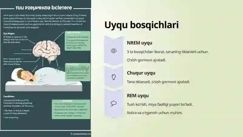 Uyqu va uning ahamiyati 4