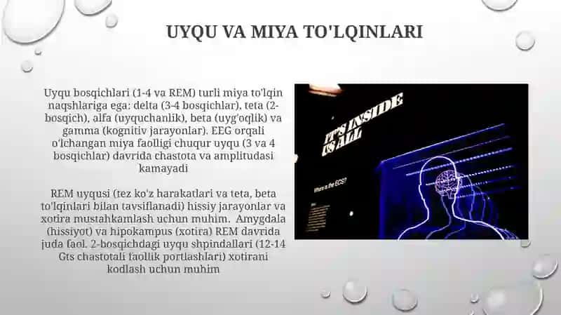 Elektroensefalografiya (EEG) 4